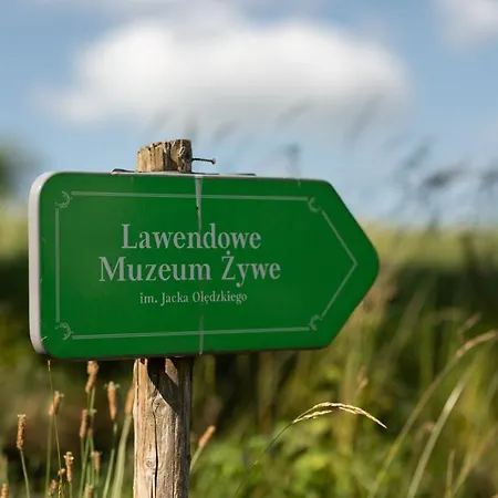 Nowe Kawkowo 28 Daire